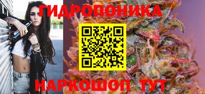 гашик Славгород