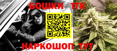 гашик Славгород